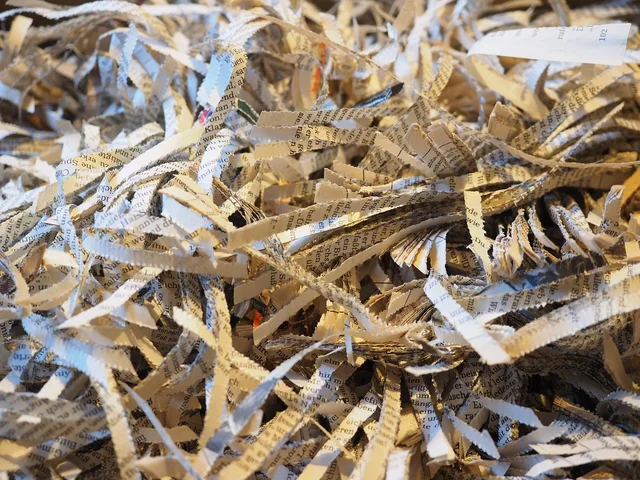 shredder, crushed, paper, flakes, paper strip, shredded material, shredding, strip, cut, shredded paper, cut up, recycling, shred, snippets, paper snippets, document shredder, heap, stack, waste paper, waste paper recycling, environmental paper, environmental protection, paper industry, papermaking, shredded, waste, garbage, raw material, disposal, white, destroyed, documents, torn, old, privacy policy, material, recovery, confidential, office, destroy, shredder, shredding, shredded paper, shredded paper, shredded paper, shredded paper, shredded paper, recycling, recycling, shred, waste, confidential, confidential. Eight customer data platforms strategy mistakes to avoid